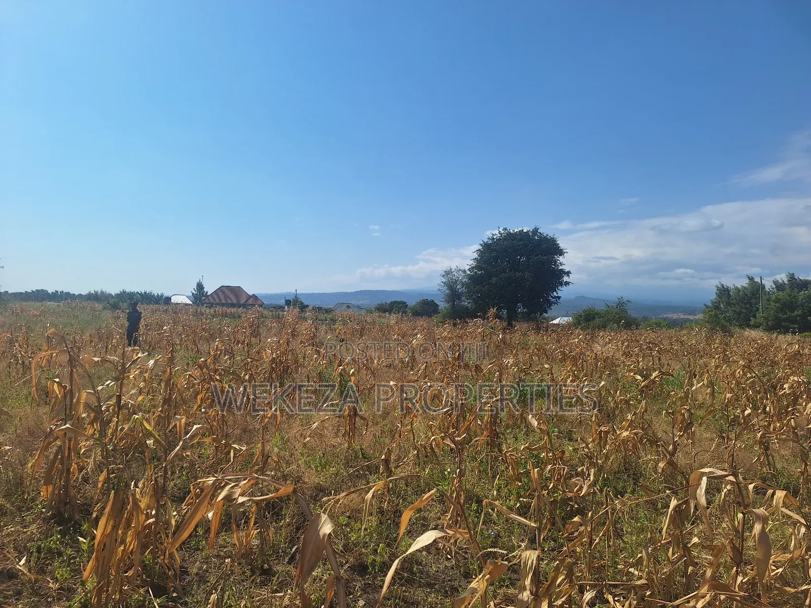 Plot for Sale