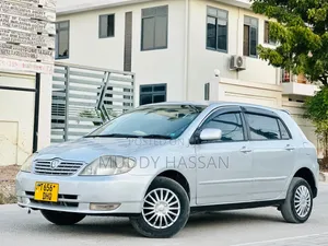 Toyota Allex 2003 Silver