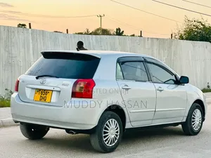 Toyota Allex 2003 Silver