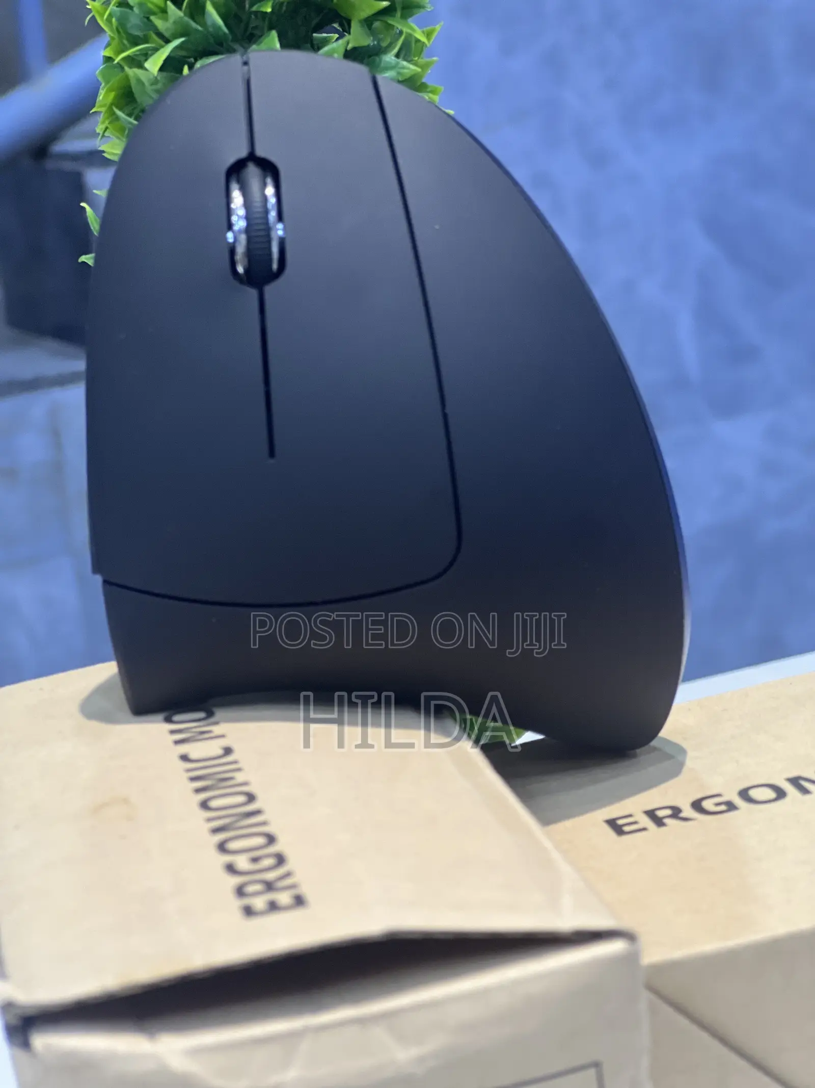 Ergonomic Mouse