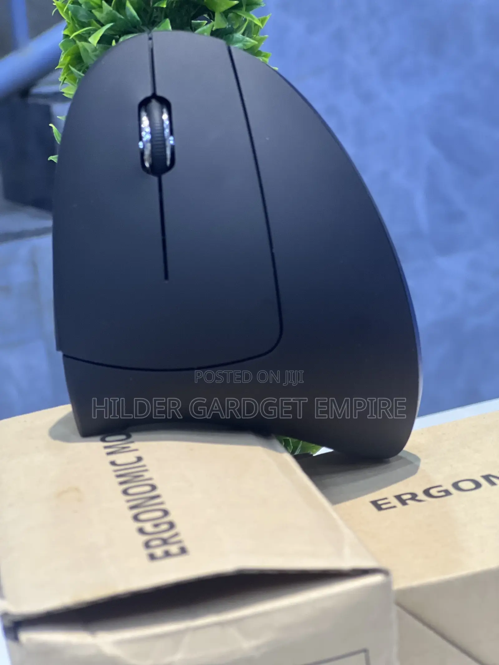 Ergonomic Mouse