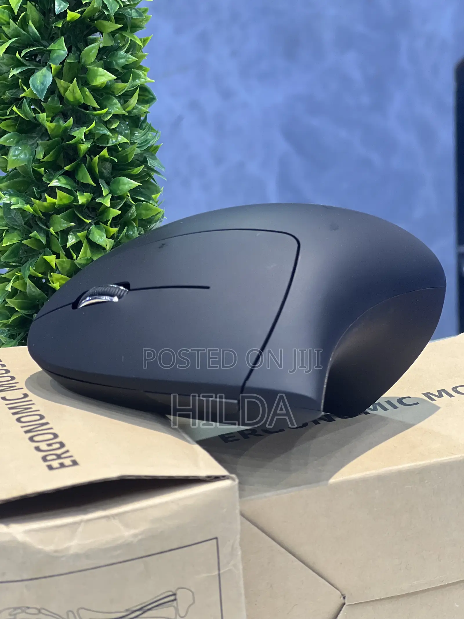 Ergonomic Mouse