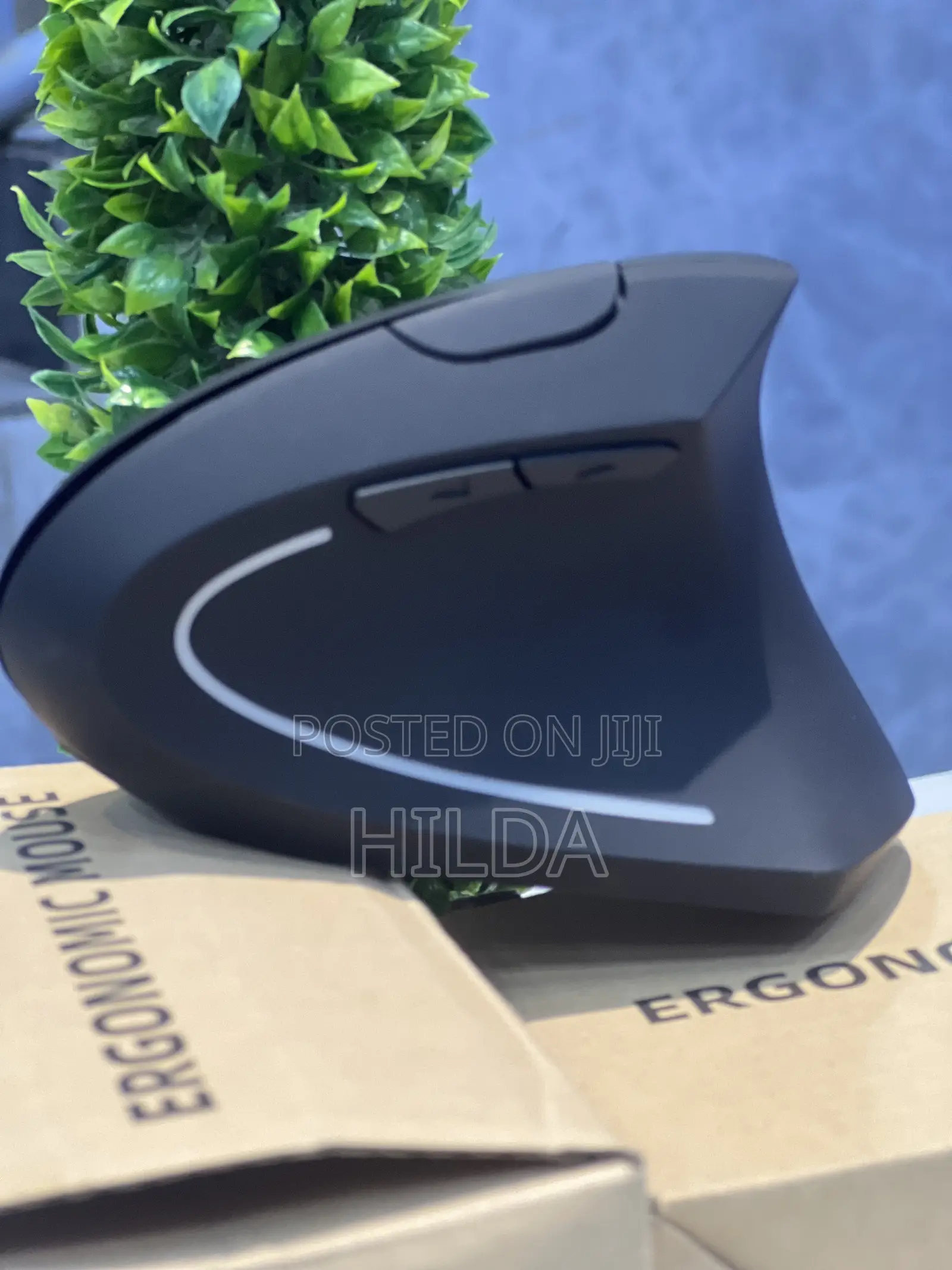 Ergonomic Mouse