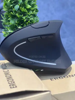 Ergonomic Mouse