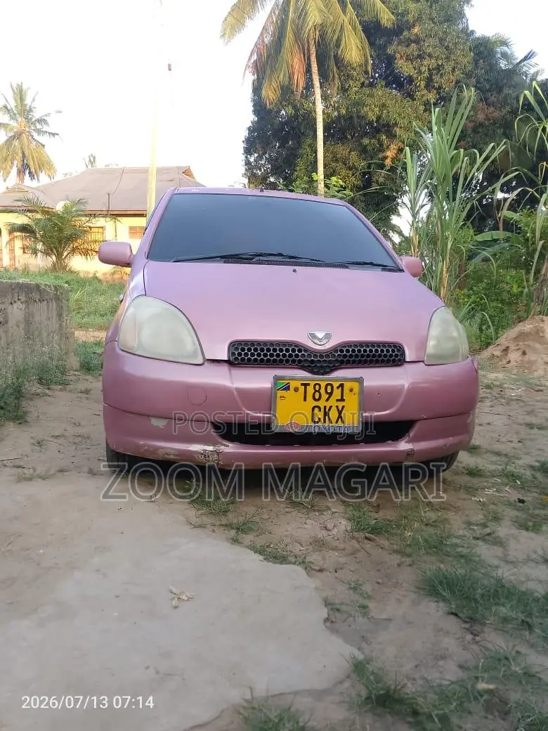Toyota Vitz 2002 Pink