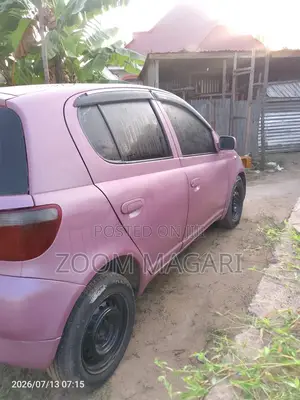 Toyota Vitz 2002 Pink