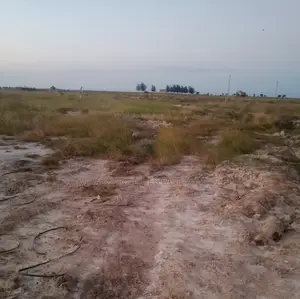 Beach Plots for Sale in Mbweni Malindi