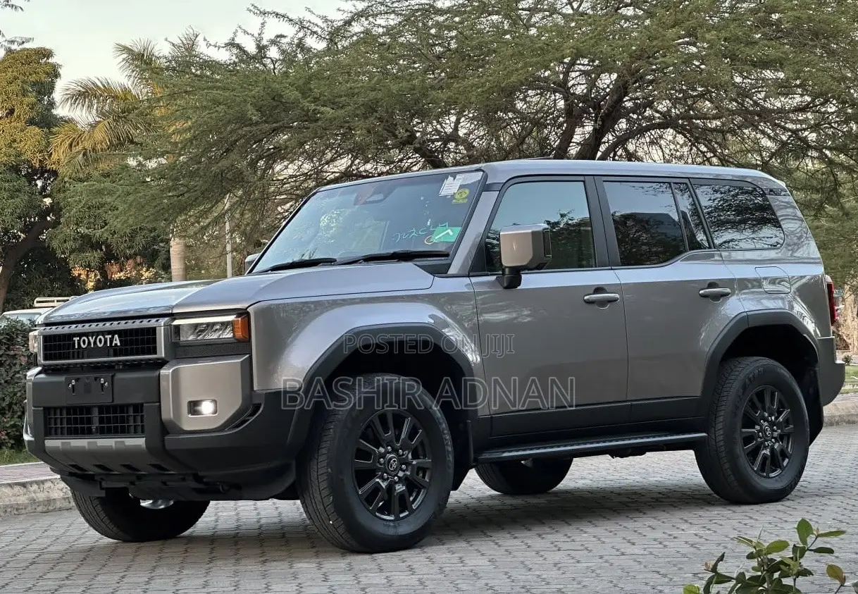 Toyota Land Cruiser LC250 2024 Brown