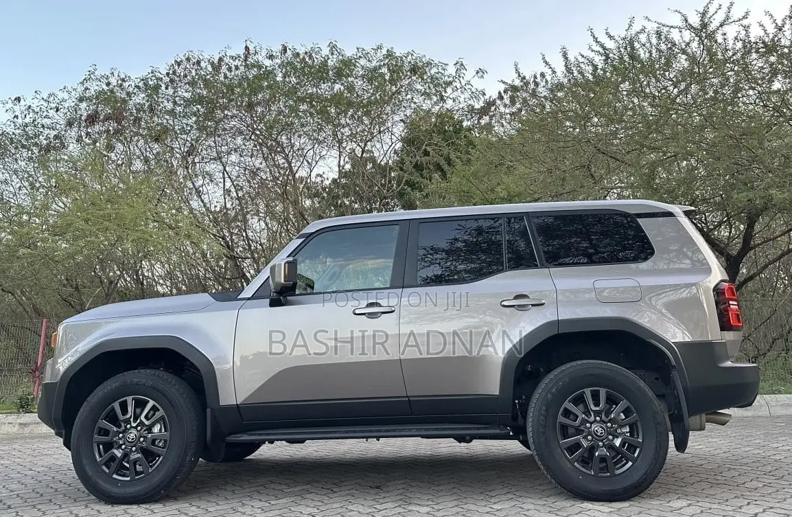 Toyota Land Cruiser LC250 2024 Brown