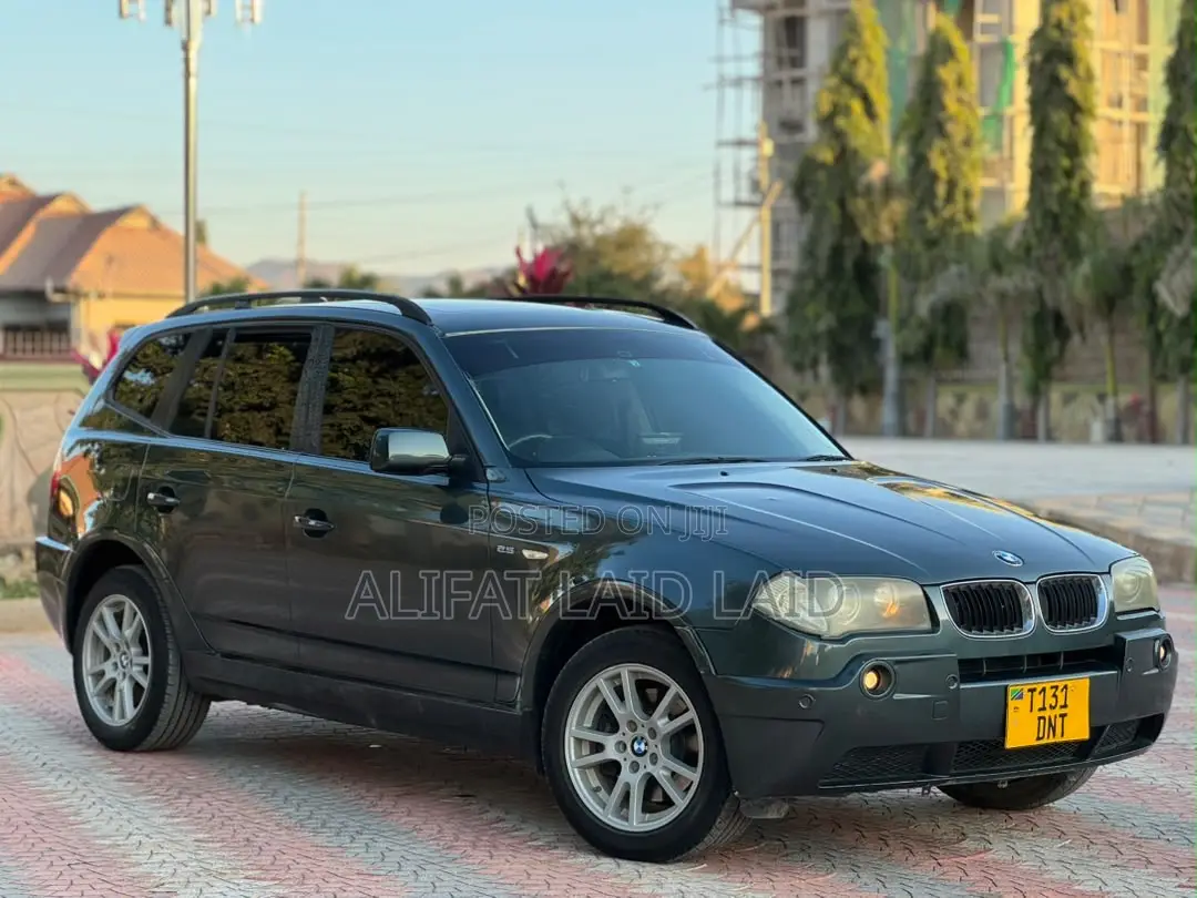 BMW X3 2006 Gray