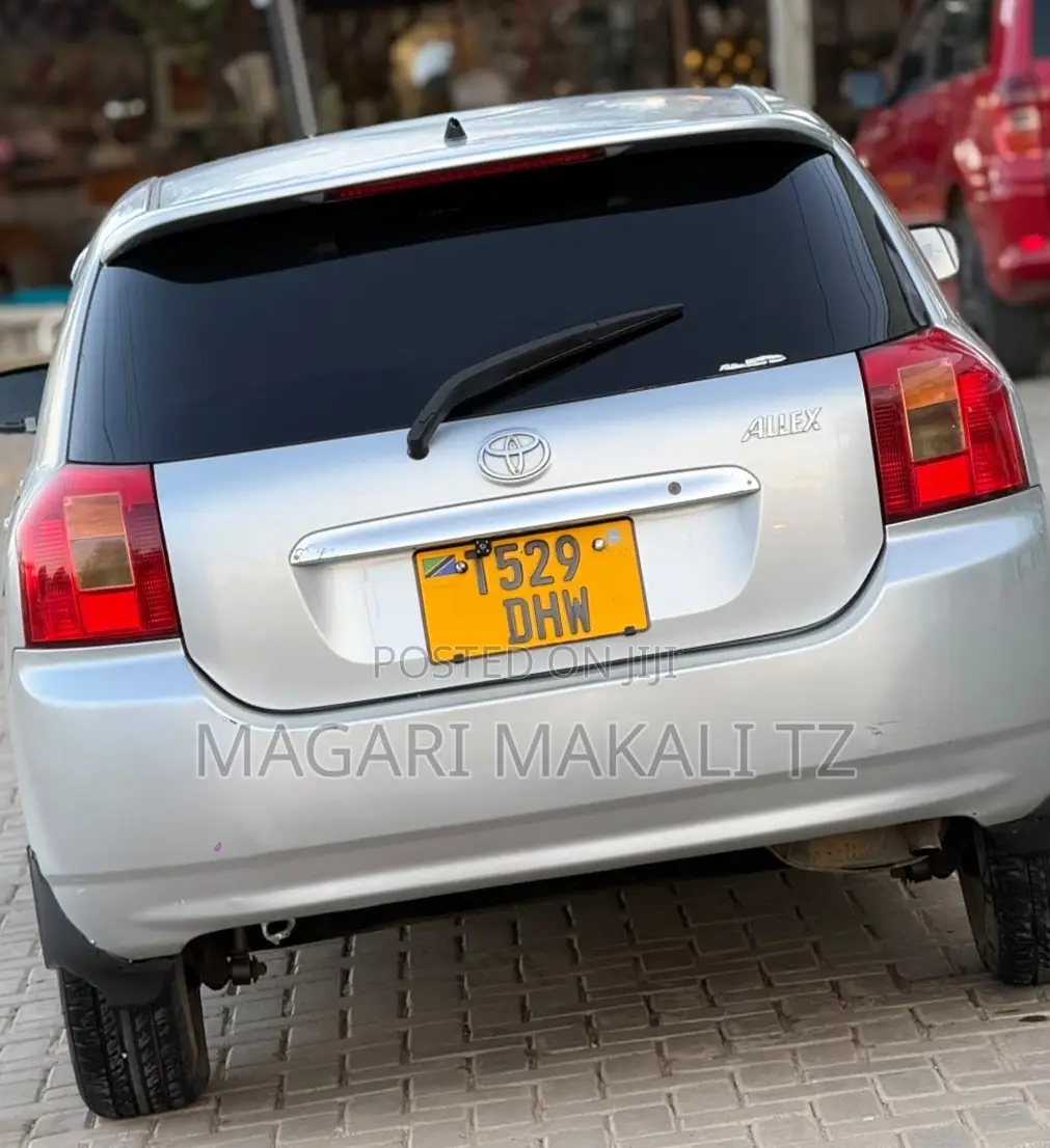 Toyota Allex 2005 Silver