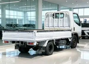 Mitsubishi Canter Guts