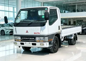 Mitsubishi Canter Guts