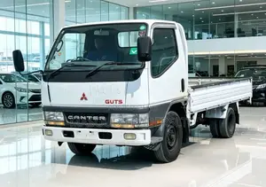 Mitsubishi Canter Guts