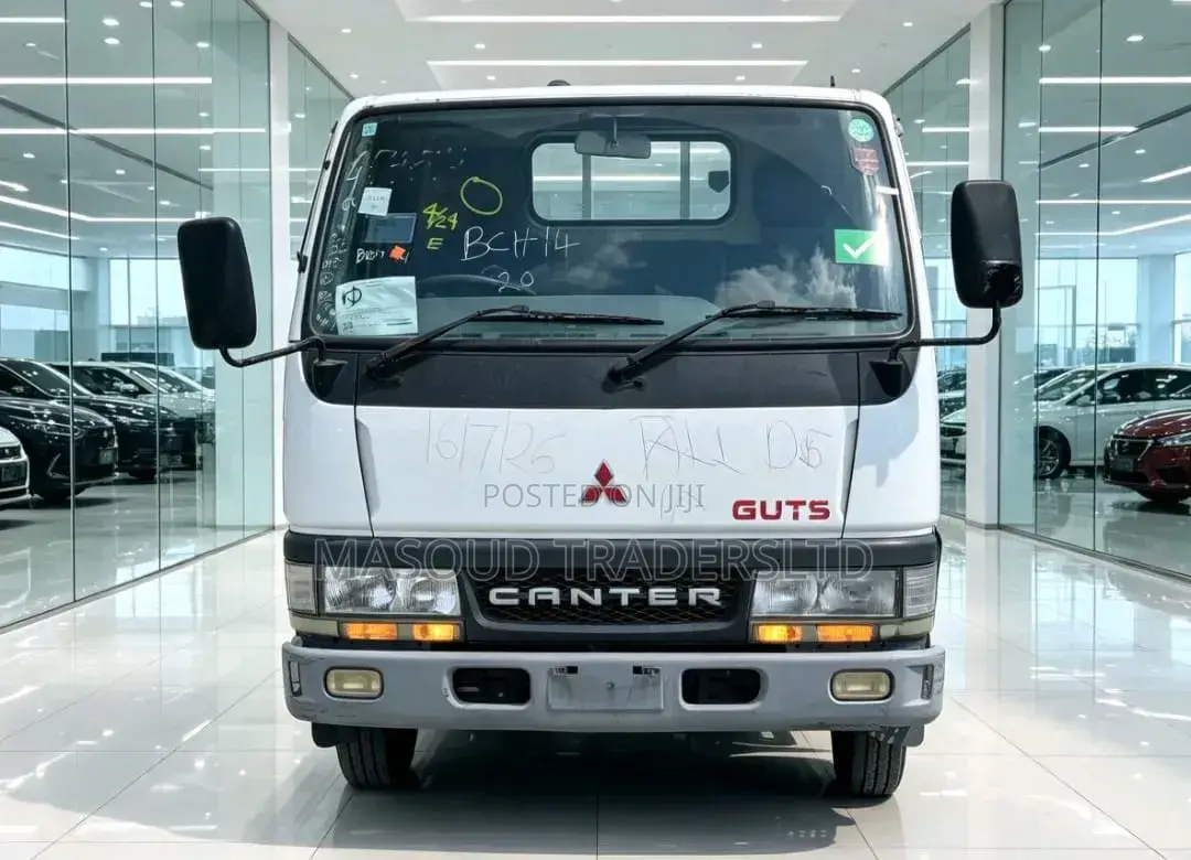 Mitsubishi Canter Guts
