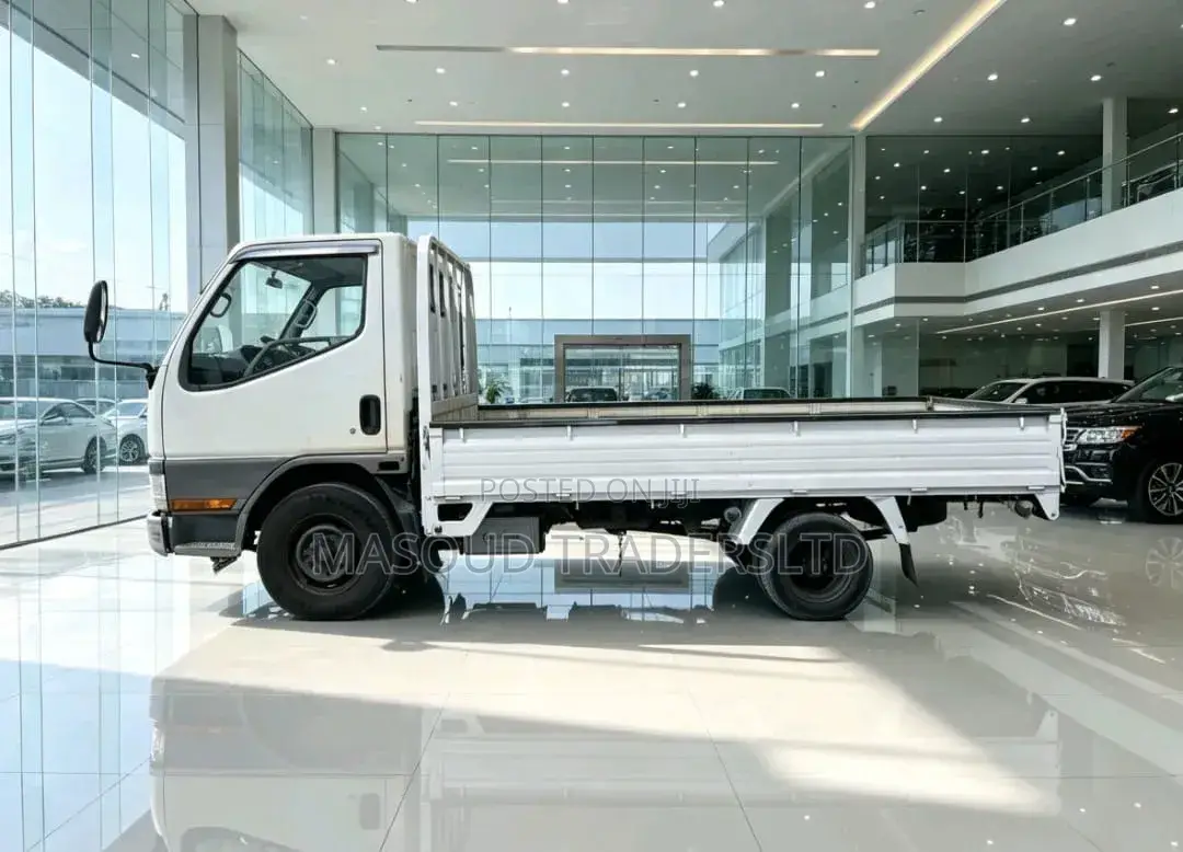 Mitsubishi Canter Guts