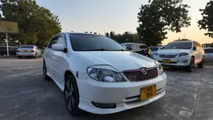Toyota Corolla RunX 2003 White