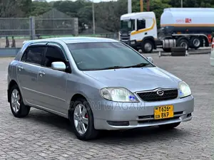 Toyota Corolla RunX 2001 Silver