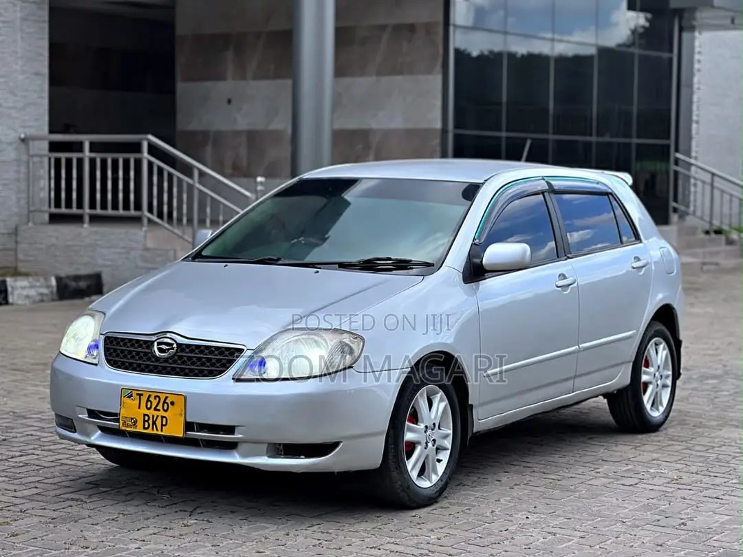 Toyota Corolla RunX 2001 Silver