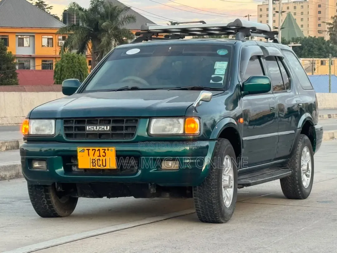 Isuzu Amigo 1999 Blue