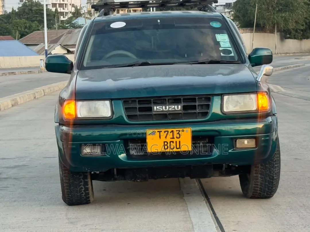 Isuzu Amigo 1999 Blue