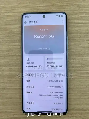 Oppo Reno11 Pro 256 GB