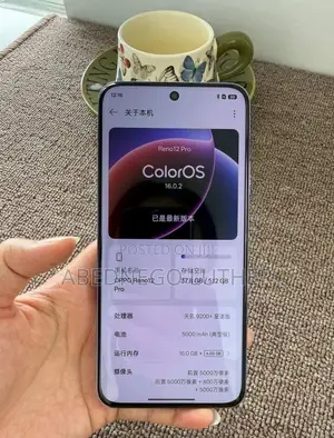 Oppo Reno12 Pro 5G 256 GB