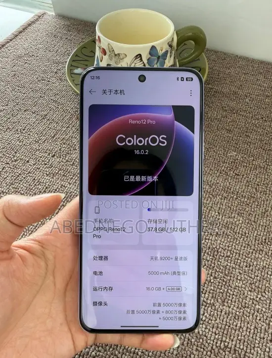 Oppo Reno12 Pro 5G 256 GB