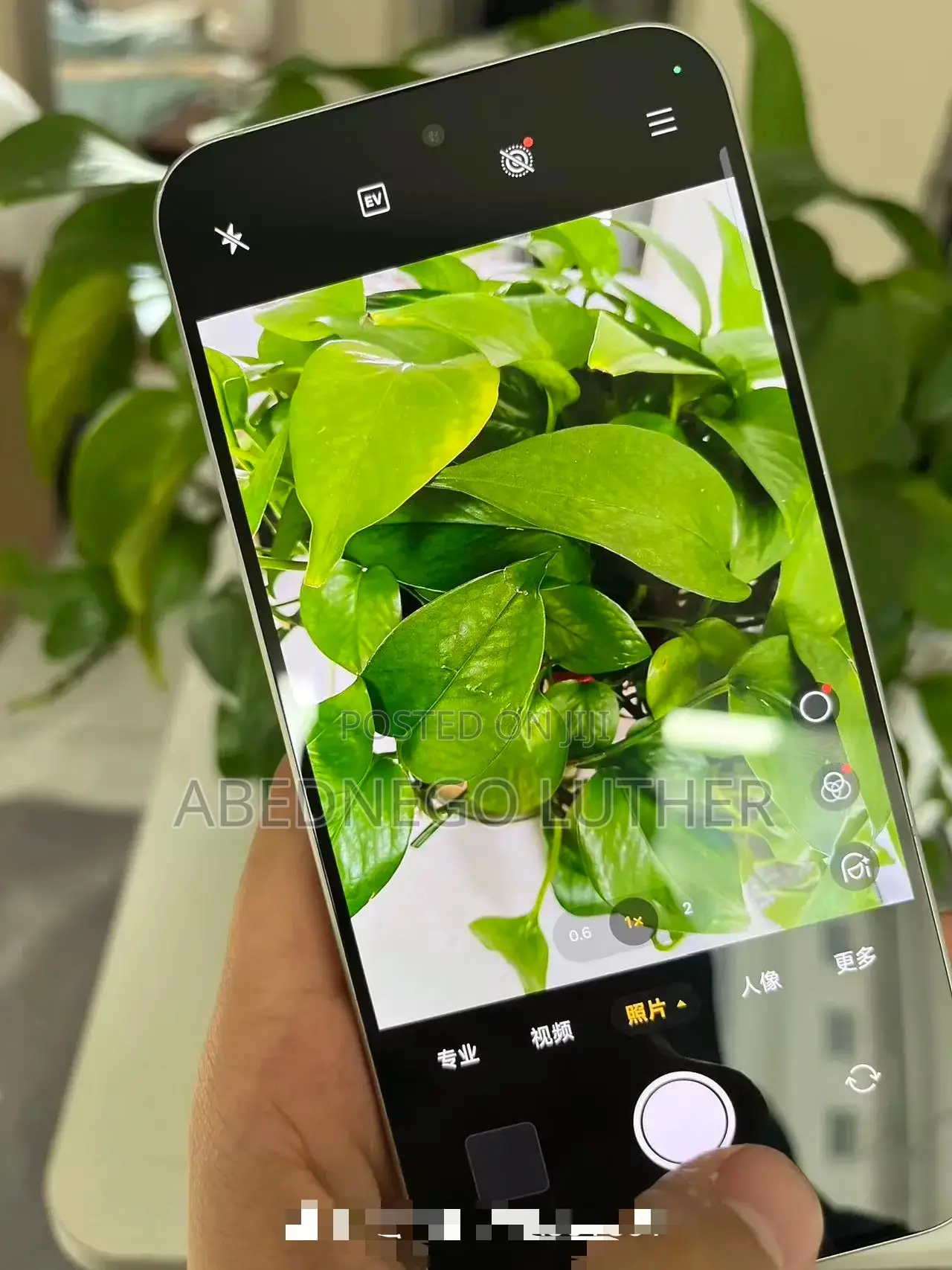 Oppo Reno13 F 256 GB
