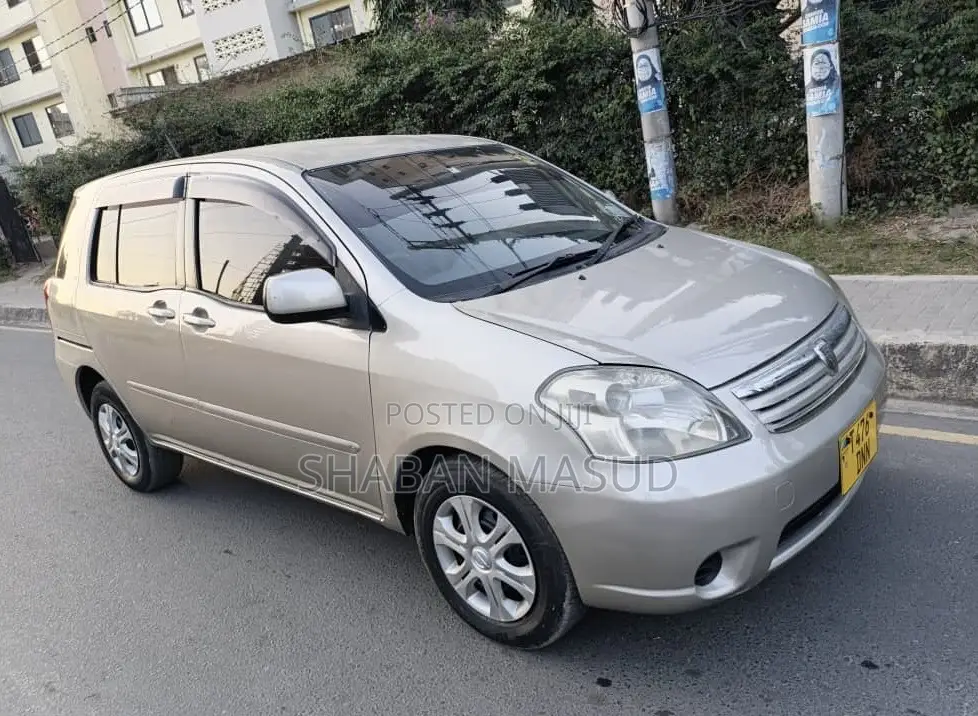 Toyota Raum 1.5 AWD 2006 Gray