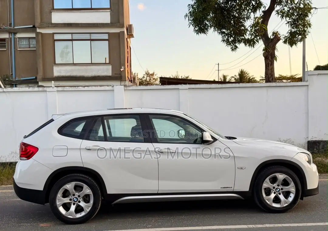 BMW X1 2011 Pearl