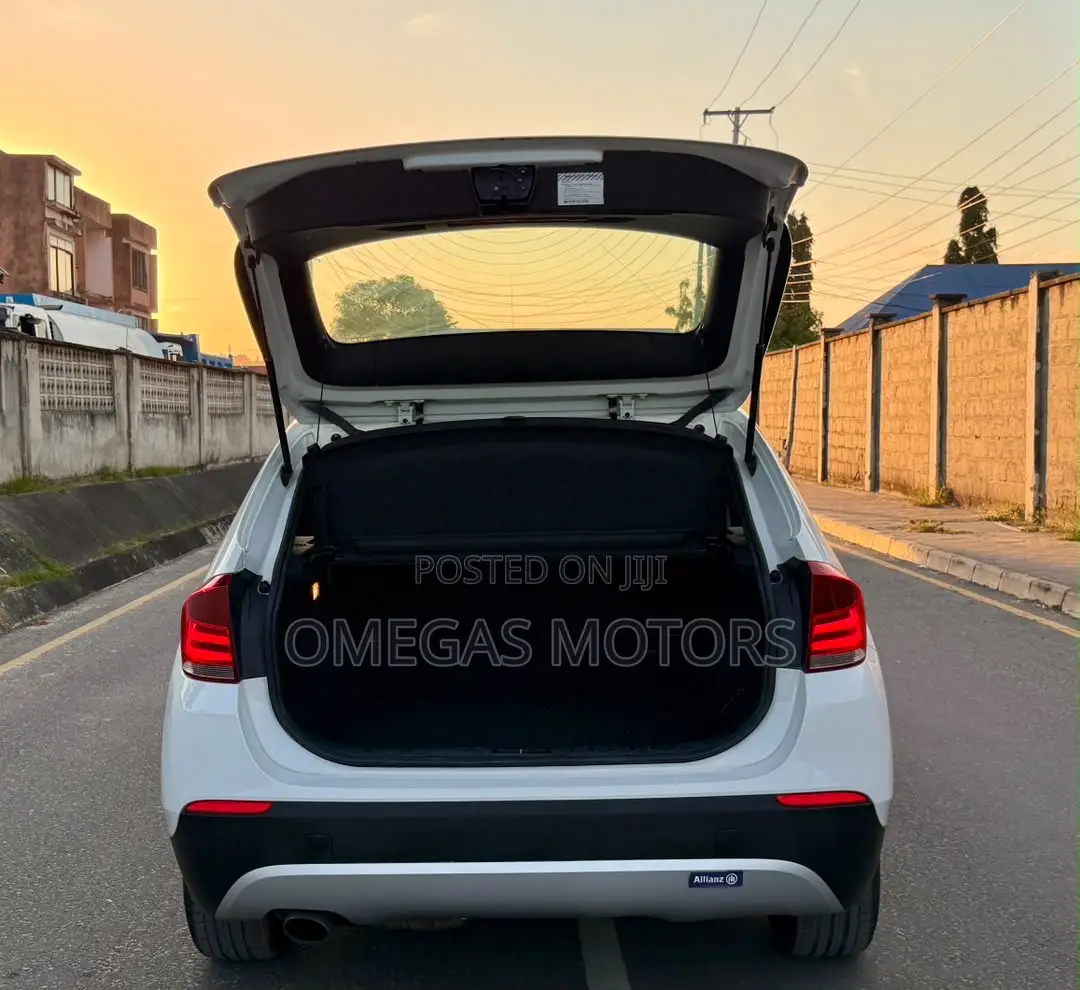 BMW X1 2011 Pearl