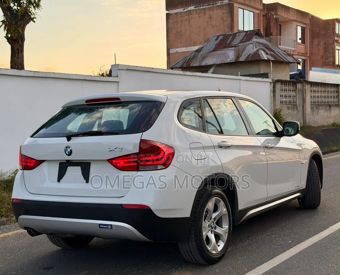 BMW X1 2011 Pearl