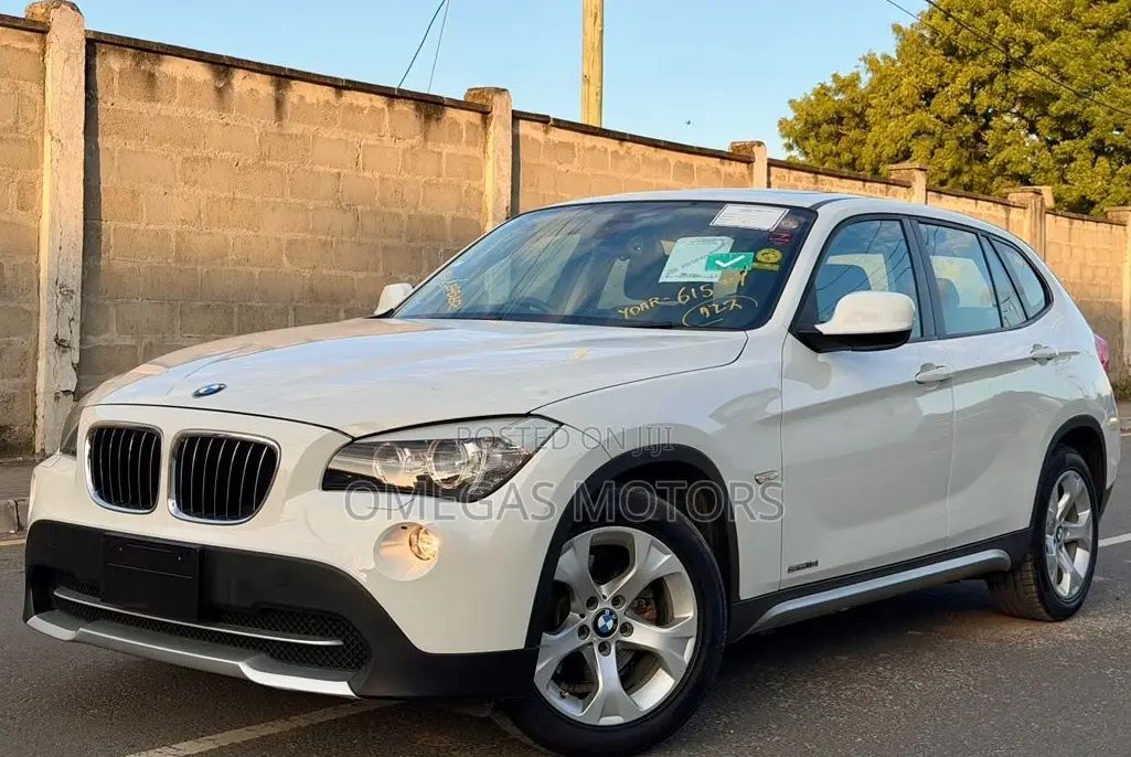 BMW X1 2011 Pearl