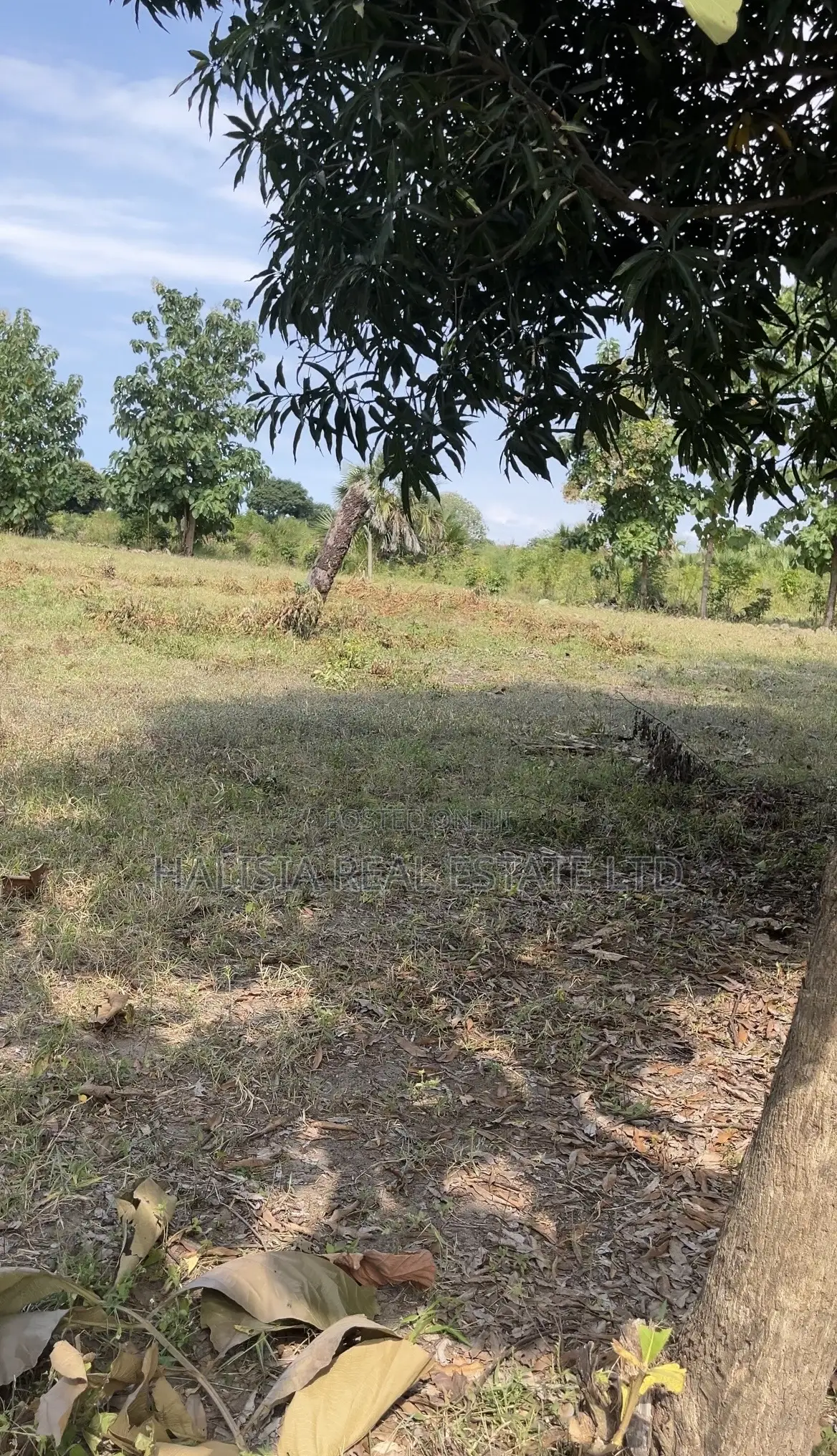 Tumaini Project