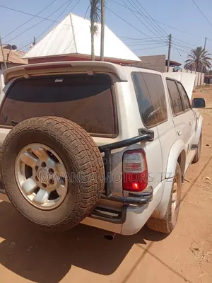 Toyota Hilux Surf 2005 Silver