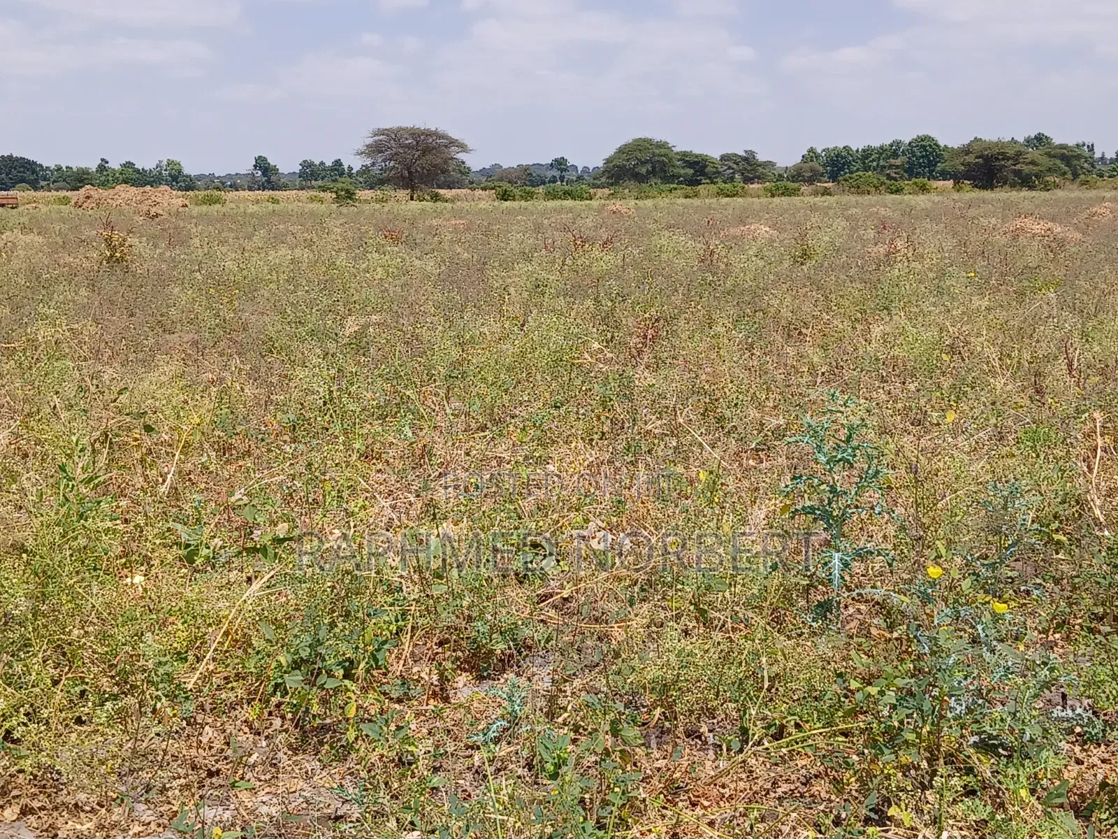 23accre Land for Sale in Nduruma Area,arusha