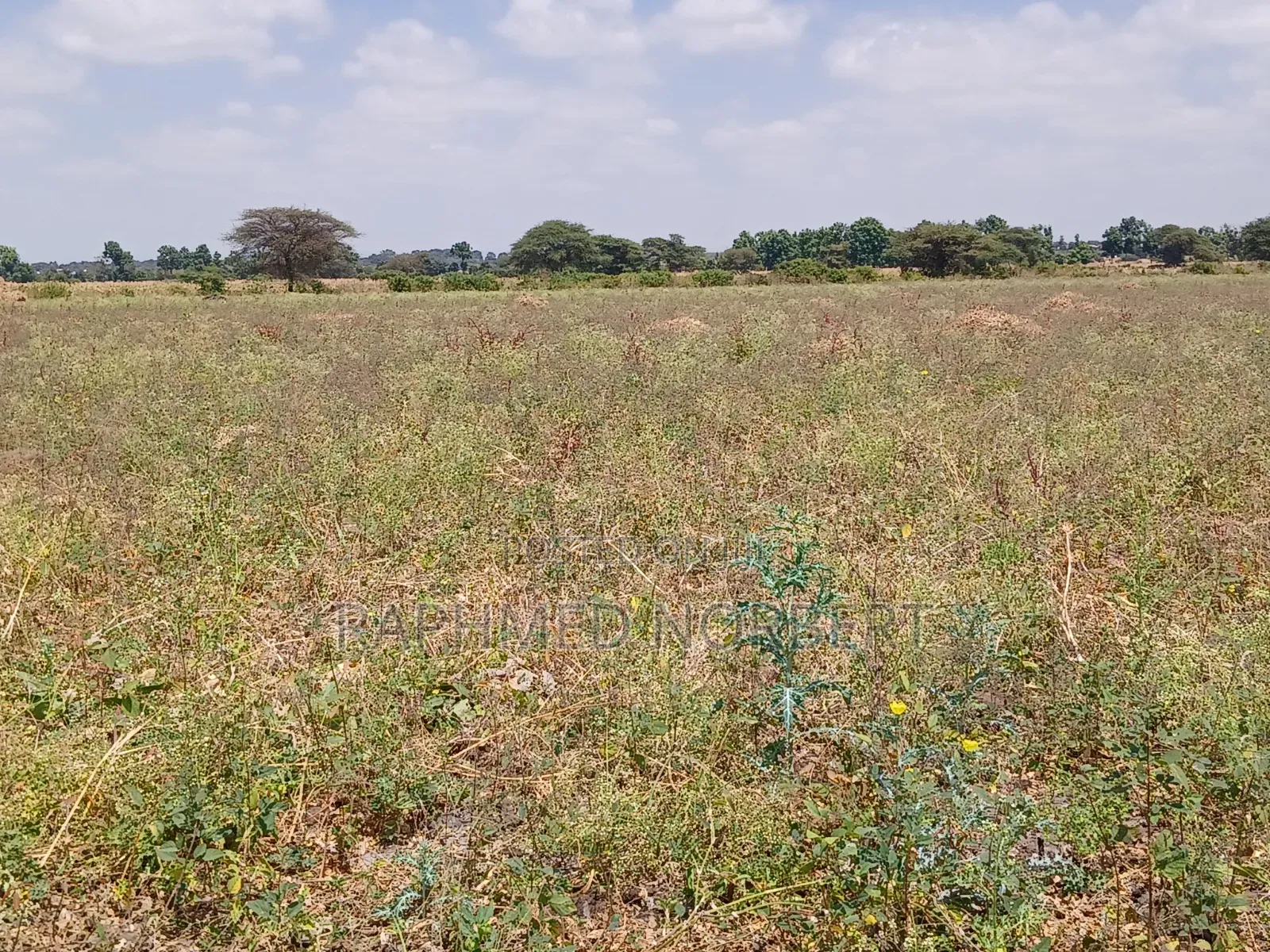 23accre Land for Sale in Nduruma Area,arusha