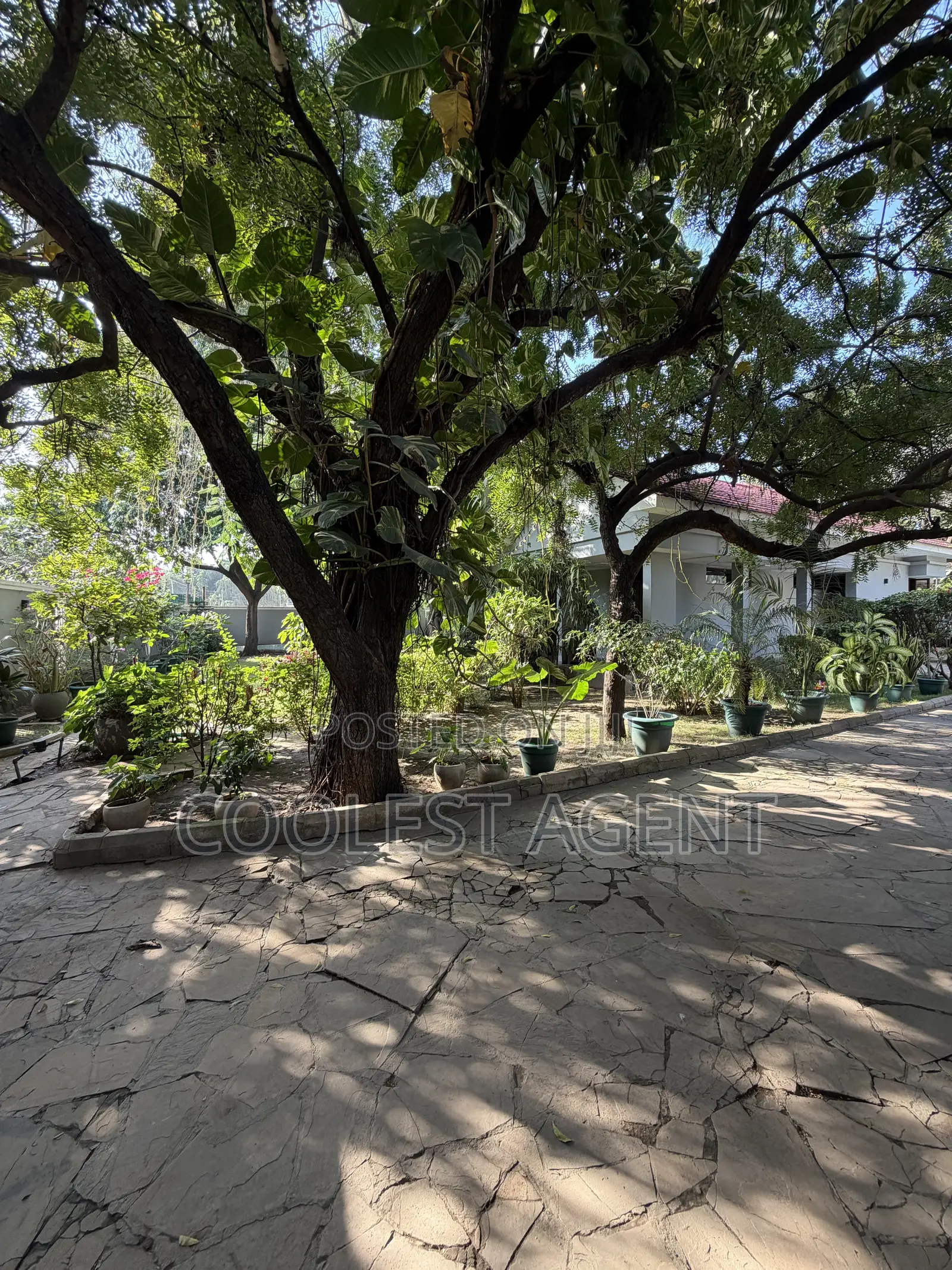 3bdrm House in Coolest Estate, Masaki for sale