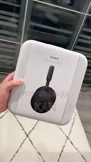 Sony Wireless Earphones