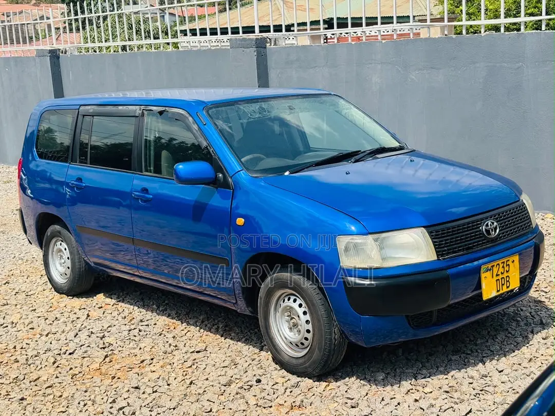Toyota Probox 2004 Blue