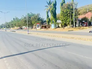 Eneo La Ukubwa Wa 30x30 Linauzwa Mwanza - Airport Road