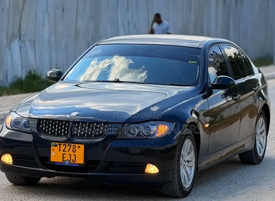 BMW 3 Series 2010 Blue