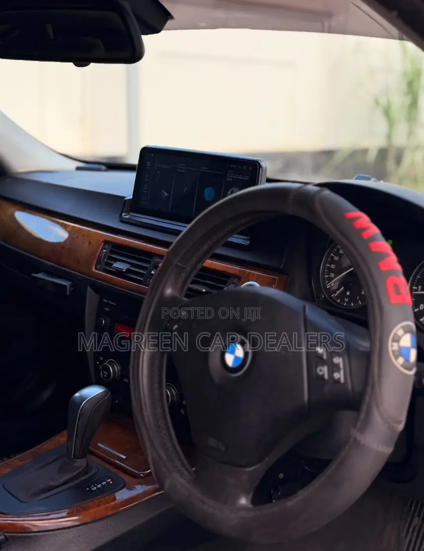 BMW 3 Series 2010 Blue