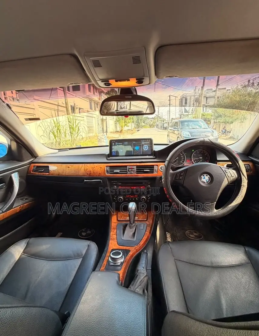 BMW 3 Series 2010 Blue