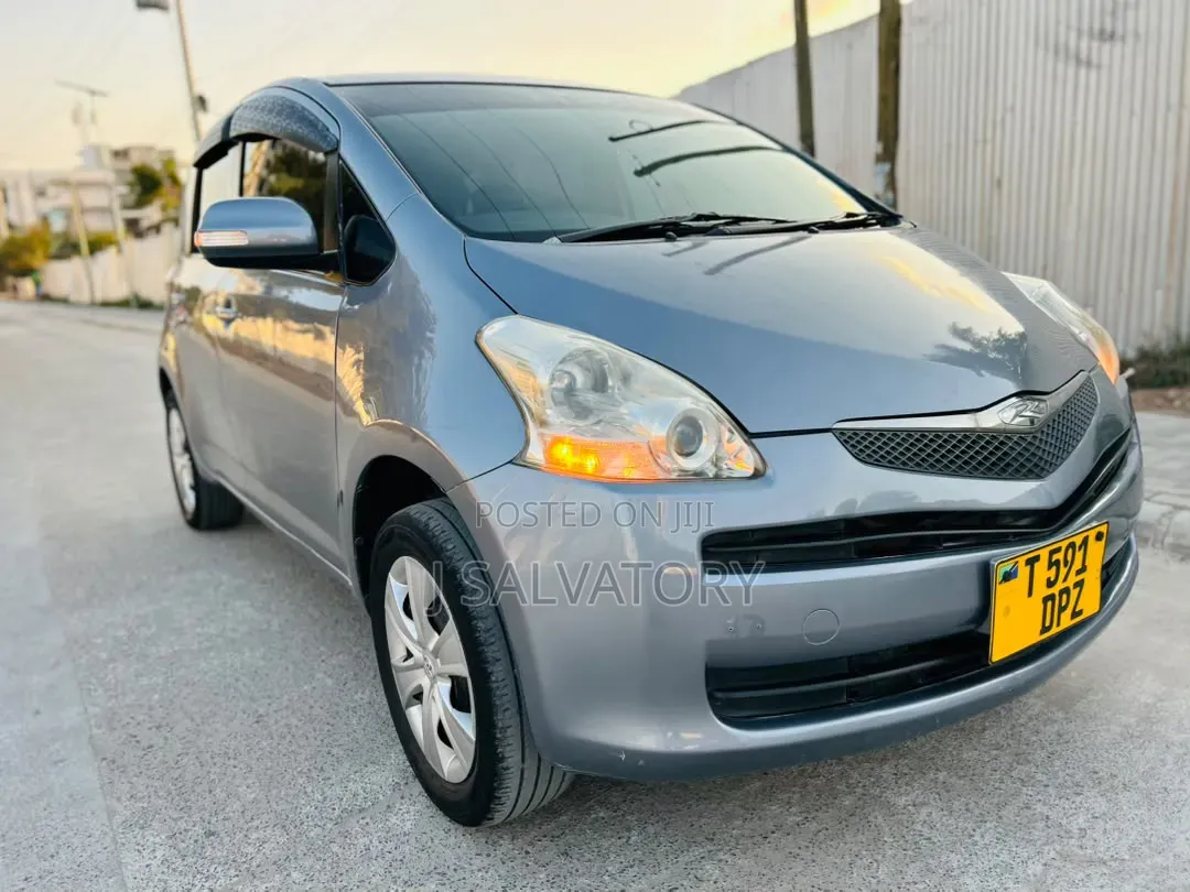 Toyota Ractis 2008 Gray