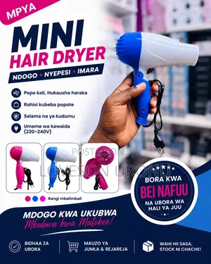 Mini Hair Dryer