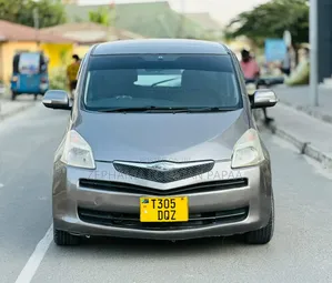 Toyota Ractis 2006 Gray