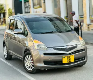 Toyota Ractis 2006 Gray