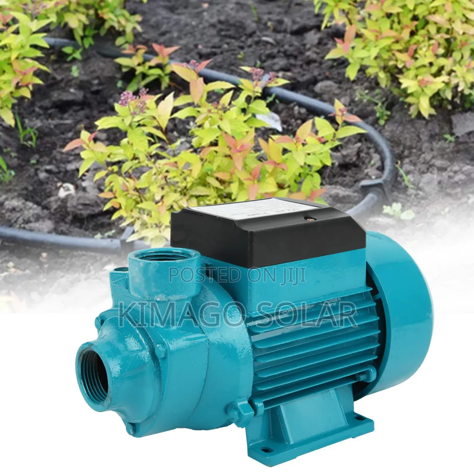 Pampu Ya Sola Inchi 1 (Surface Pump) DC 24V, 230W